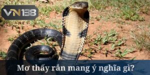 Ngủ Mơ Thấy Rắn Chọn Con Số Để Phát Tài