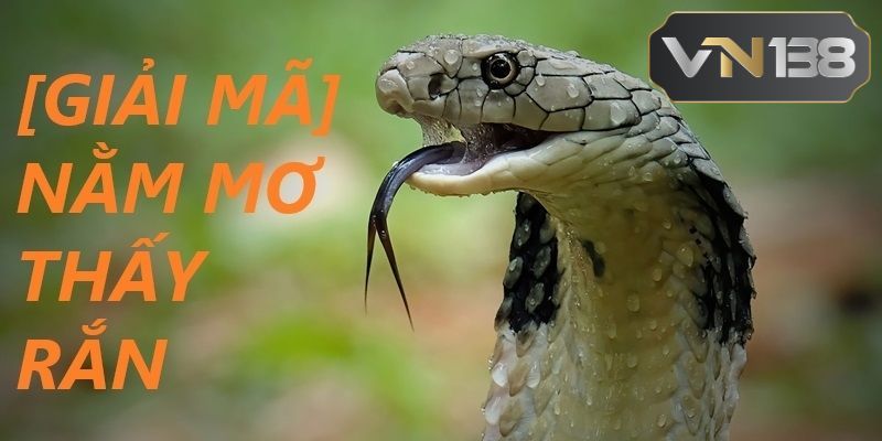 Giải mã mơ thấy rắn khi bị cắn chân